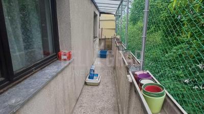 small_img_5