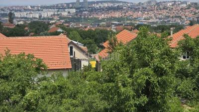 small_img_6