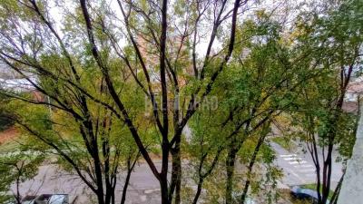 small_img_11