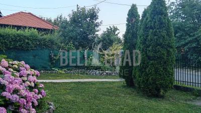 small_img_1