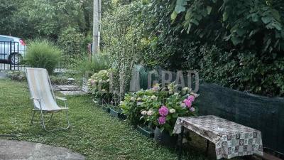small_img_10