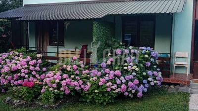 small_img_13