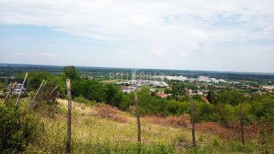 small_img_1