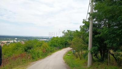 small_img_3