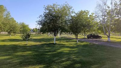 small_img_2