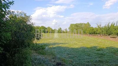 small_img_3