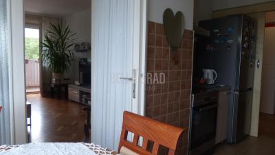 small_img_5