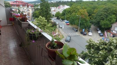small_img_19