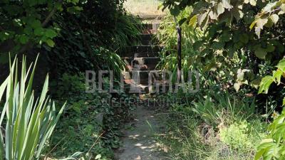 small_img_5