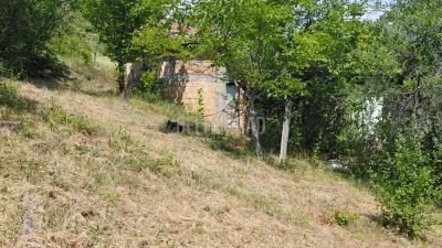 small_img_7