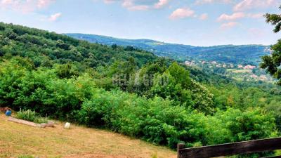 small_img_7