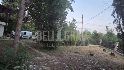 small_img_19