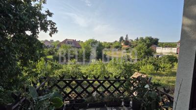 small_img_20