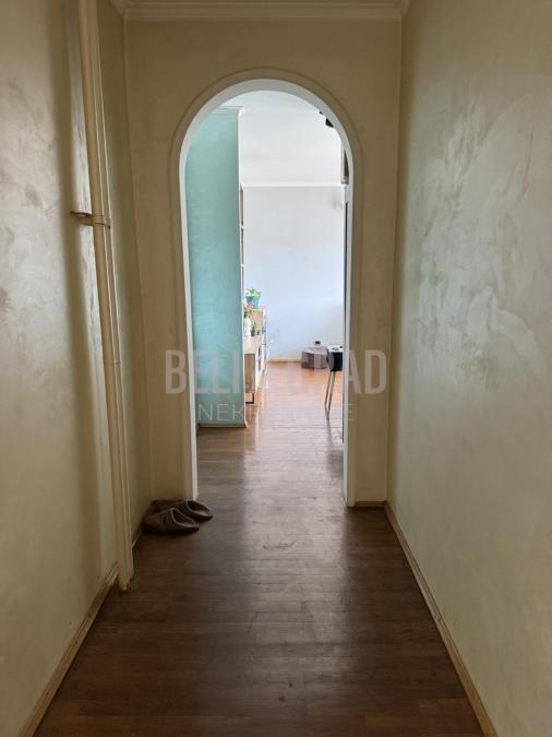 big_img_10
