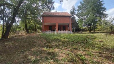 small_img_1