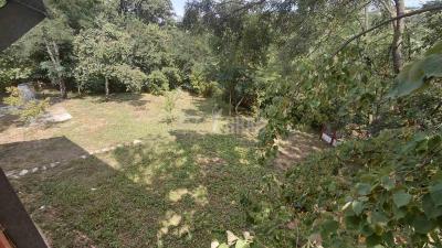small_img_14