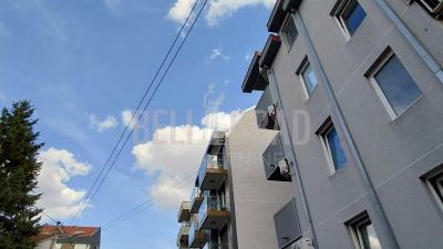 small_img_11