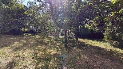 small_img_20