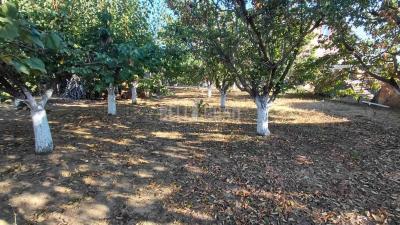 small_img_15