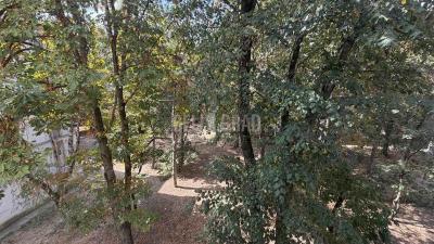 small_img_15