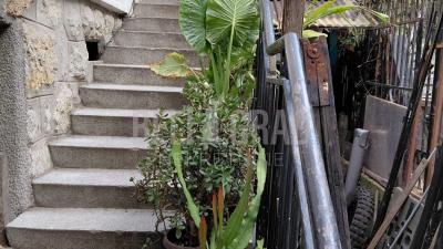 small_img_19