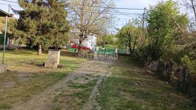 small_img_19