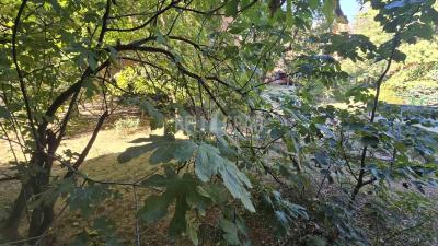 small_img_9