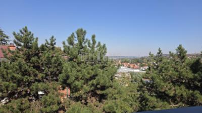 small_img_17