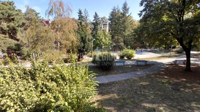 small_img_19