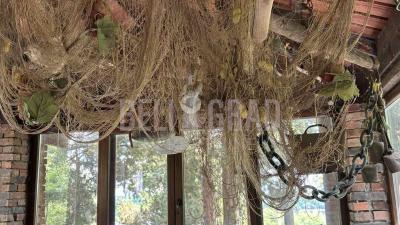 small_img_12