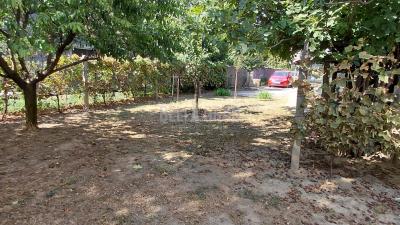 small_img_7