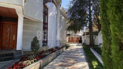 small_img_19