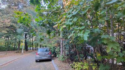 small_img_10