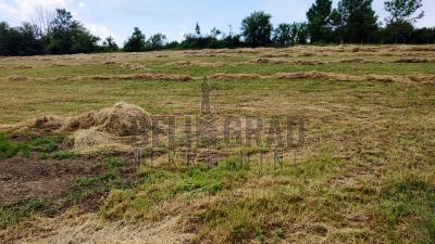 small_img_10
