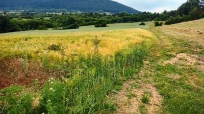 small_img_3