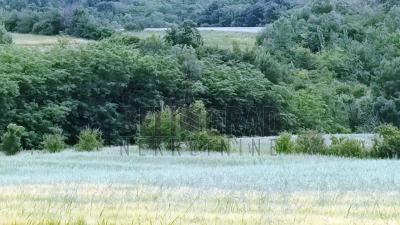 small_img_5