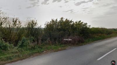 small_img_3